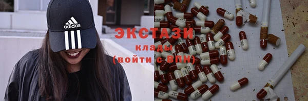 индика Ладушкин