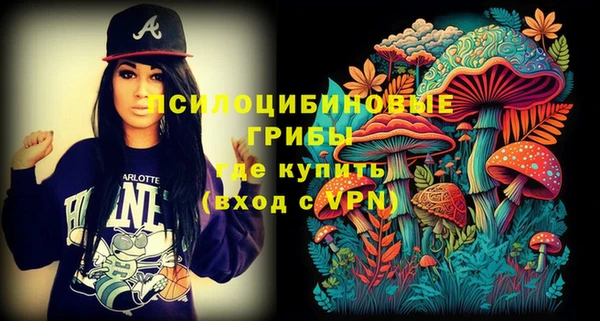 прущая мука Лабытнанги