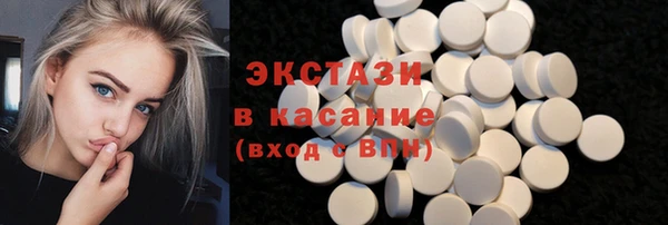 сатива Кулебаки