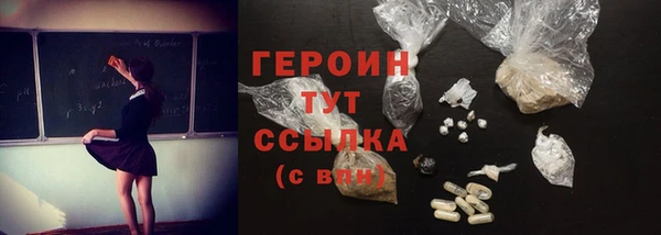 индика Ладушкин