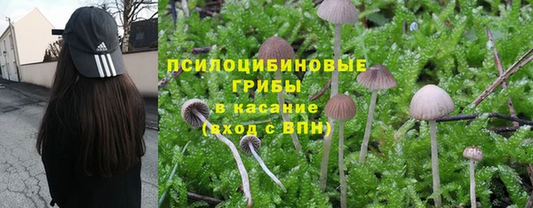 прущая мука Куйбышев