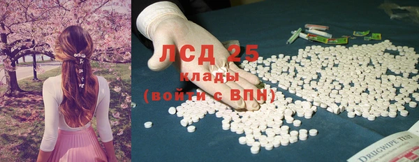 сатива Кулебаки