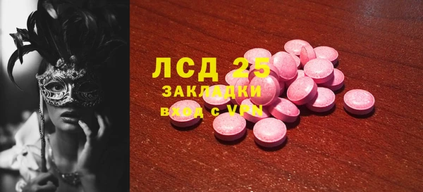 сатива Кулебаки