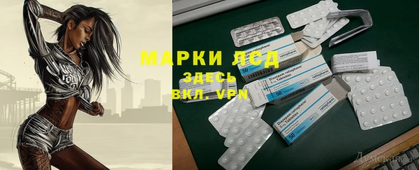 индика Ладушкин