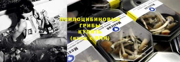 индика Ладушкин