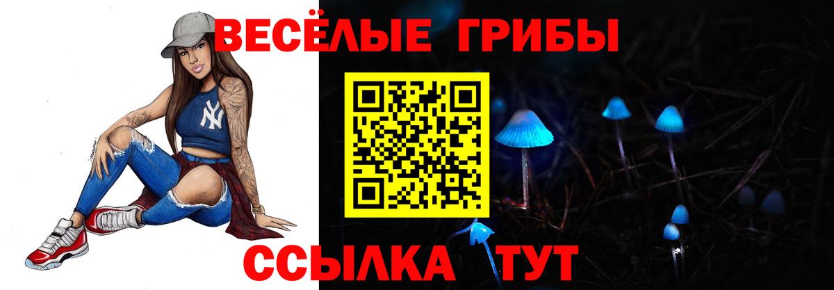Галлюциногенные грибы ЛСД  Вход с VPN  Углич  Галлюциногенные грибы Psilocybe 